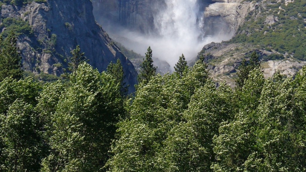 Kailangan mo ba ng Kotse sa Yosemite